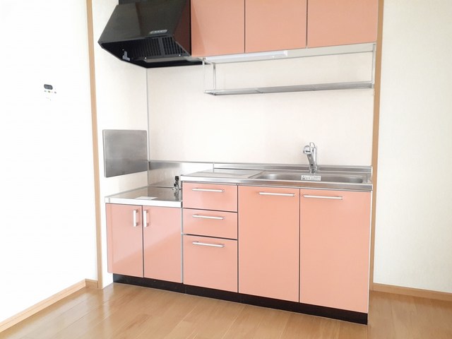 シェーン・ヴァルトAのキッチン写真
