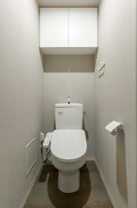 都営大江戸線 清澄白河駅 徒歩12分 10階建 築4年のトイレ写真