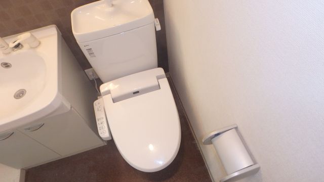 阪神本線 野田駅 徒歩2分 8階建 築17年のトイレ写真