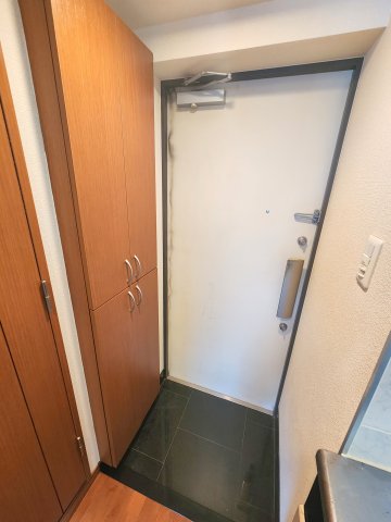 玄関　グリフィン横浜・戸部駅前 ＊別部屋参考