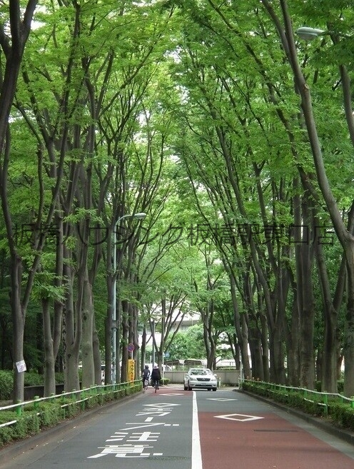 公園　赤塚新町公園（公園）まで354m