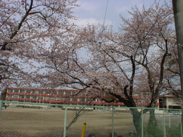 【グランコート一番館の中学校】