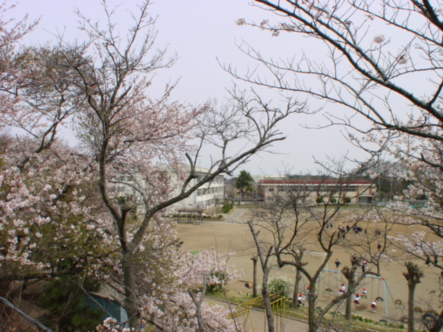 【グランコート一番館の小学校】