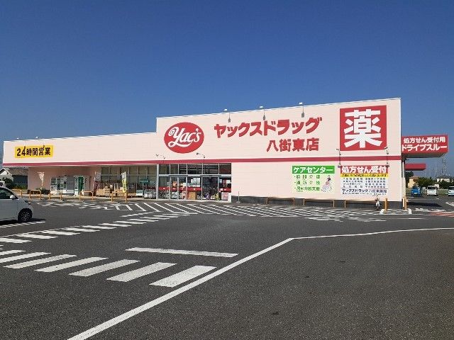 【八街市文違のアパートのドラックストア】