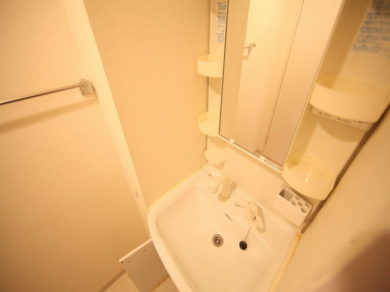 洗面設備　脱衣所　独立洗面台（シャンプードレッサー付）収納スペース有