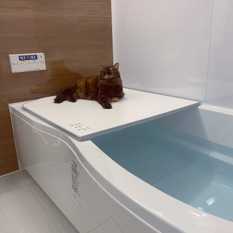 バス・シャワールーム　☆広めのお風呂です☆