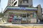 コンビニ　スリーエフ　すみだ横網店（コンビニ）まで162m