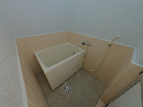 バス・シャワールーム　※別部屋の写真使用