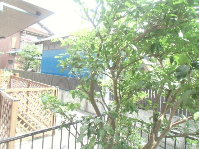 庭