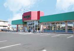 スーパー　しまむらストアー 中原御殿店（スーパー）まで528m