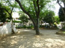 公園　南榎公園（公園）まで667m