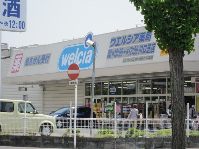 ドラックストア　ウエルシア川口芝店（ドラッグストア）まで502m
