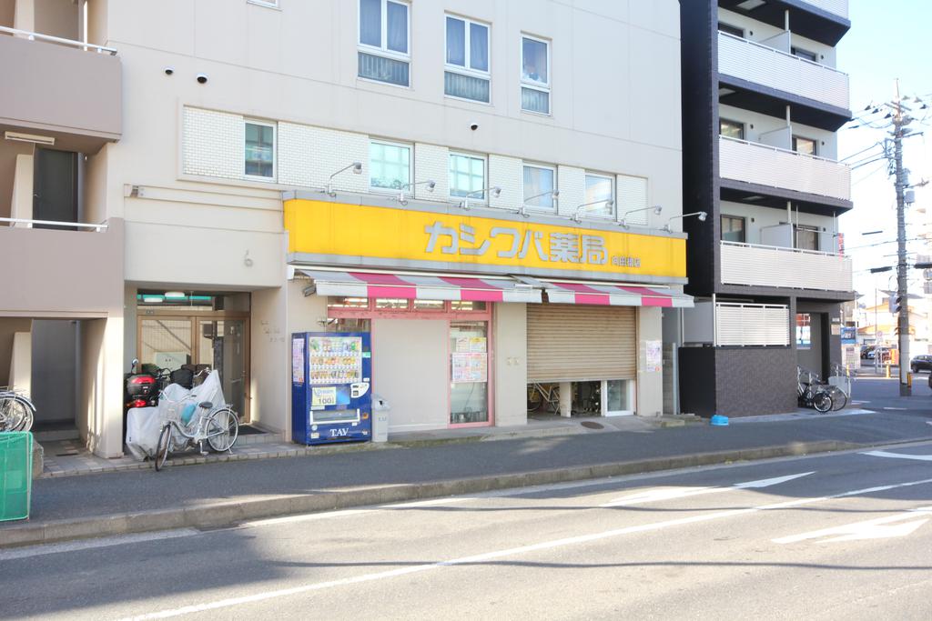 ドラックストア　カシワバ薬局（ドラッグストア）まで210m