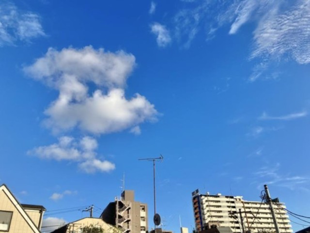 眺望