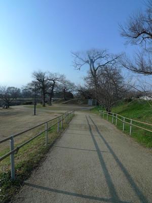 【ヴェラヴィータ泉町IIIの公園】