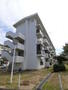 松が丘住宅１５号棟 4階 築58年5ヶ月の賃貸物件