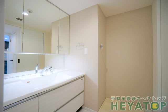 洗面設備　便利なシャワー付き洗面化粧台（同仕様写真）