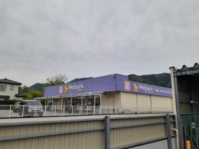 ドラックストア　ウェルパーク津久井店（ドラッグストア）まで650m