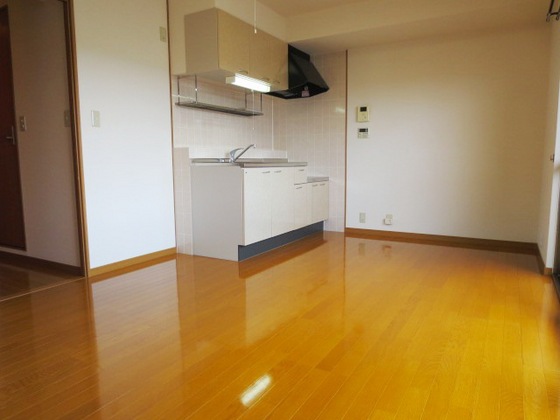 居室・リビング　※写真は全て別号室です