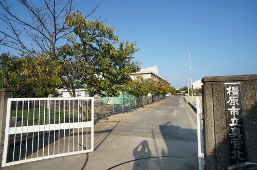 シノマンション_その他_5