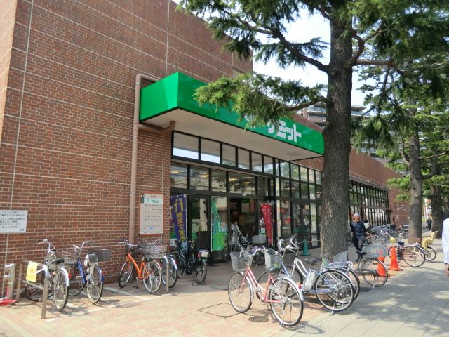 スーパー　サミット（スーパー）まで719m