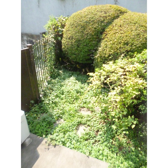 眺望　緑がいっぱい！