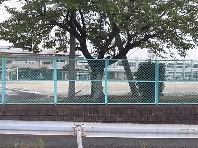 中学校　岐阜市立青山中学校（中学校）まで749m