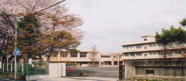 小学校　相模原市立南大野小学校（小学校）まで559m