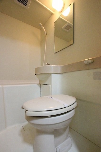 トイレ　同物件別号室の写真