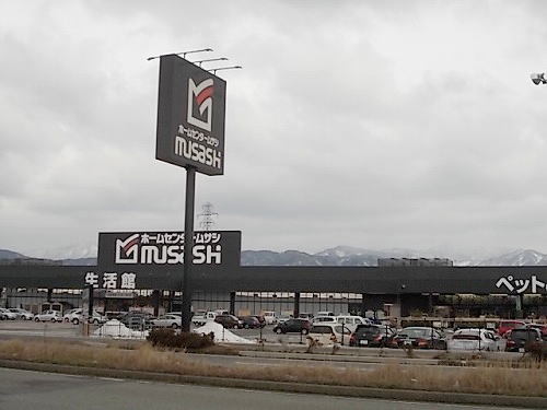 ホームセンター　ムサシ（ホームセンター）まで1100m