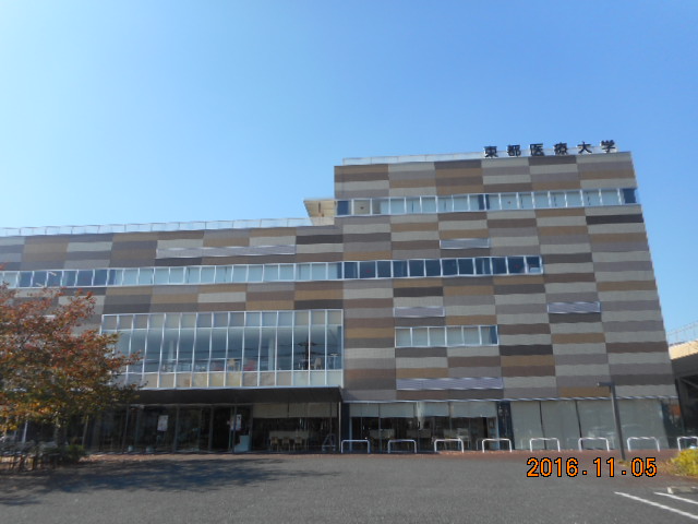 大学・短大　東都医療大学（大学・短大）まで480m