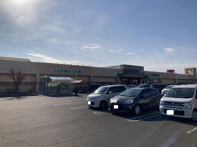 スーパー　（株）平和堂／うぬま店（スーパー）まで1413m