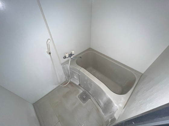 バス・シャワールーム　※別部屋の写真です