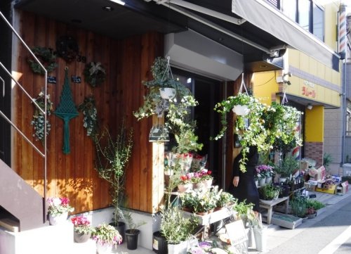 その他　Flowergreen　HANAMI（その他）まで630m