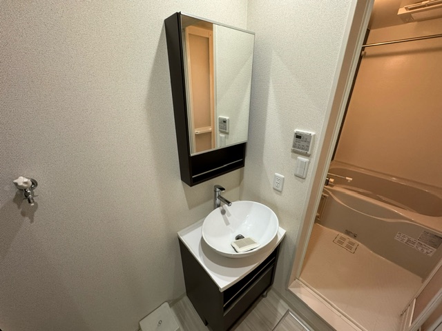 洗面設備　※同施工会社のイメージ写真※