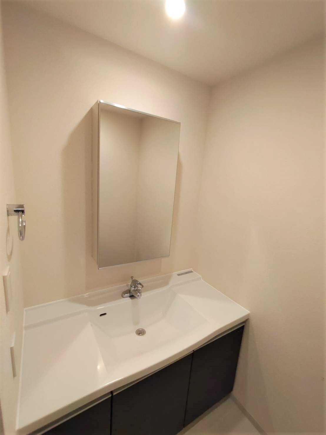 洗面設備　※別部屋の参考写真です。