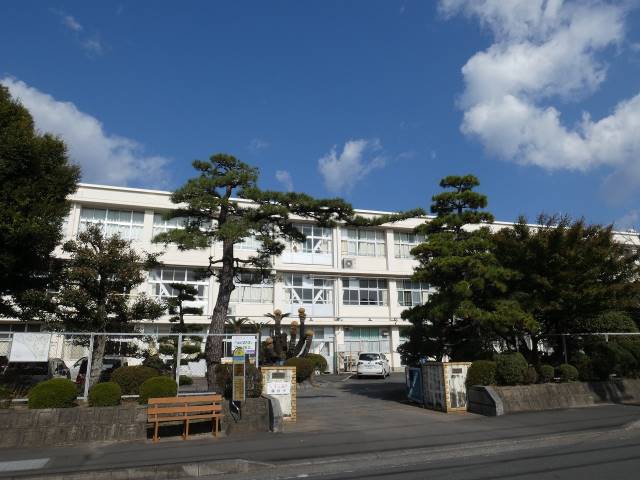 中学校　青島中学校（中学校）まで824m