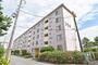 ＵＲ都市機構高洲第一団地２—２—４ 3階 築53年1ヶ月の賃貸物件