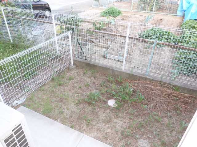 庭