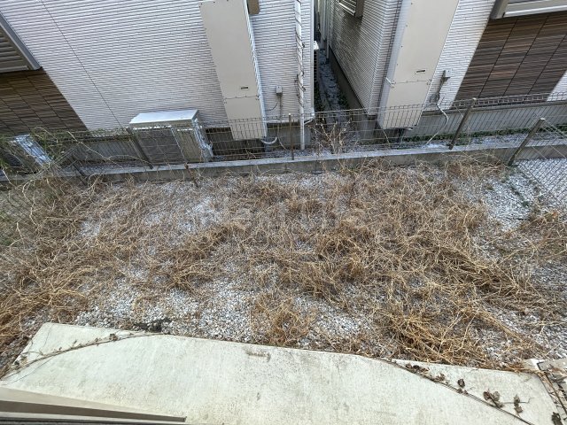 庭