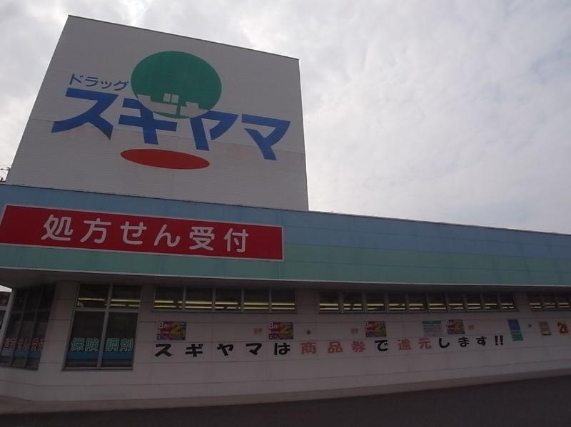 ドラックストア　ドラッグスギヤマ・豊店（ドラッグストア）まで1000m