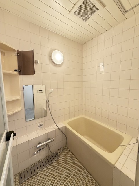 バス・シャワールーム　別部屋参考写真です