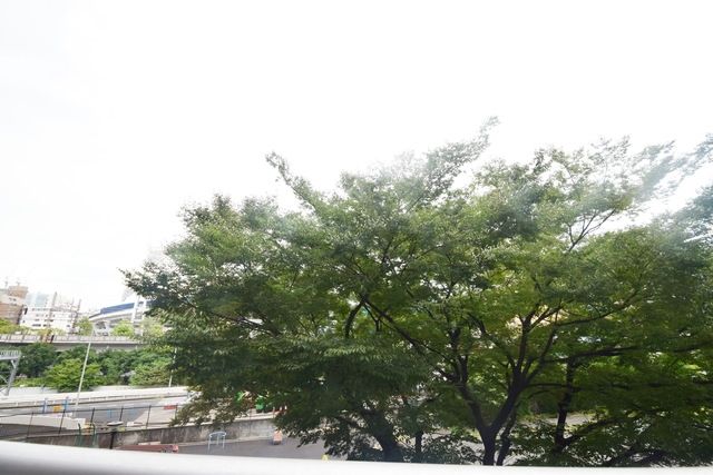 眺望　★★自然あふれる景観★★
