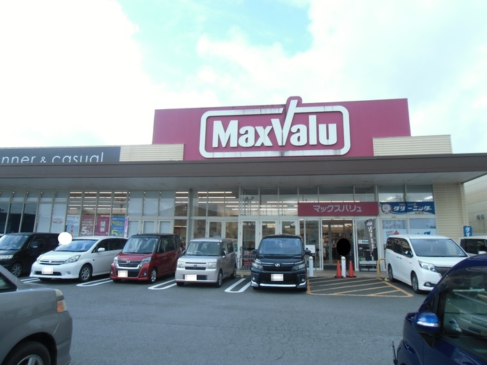 スーパー　マックスバリュ島之内店（スーパー）まで1301m