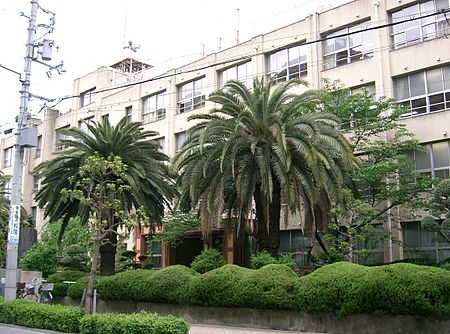 小学校　大阪市立日吉小学校（小学校）まで308m