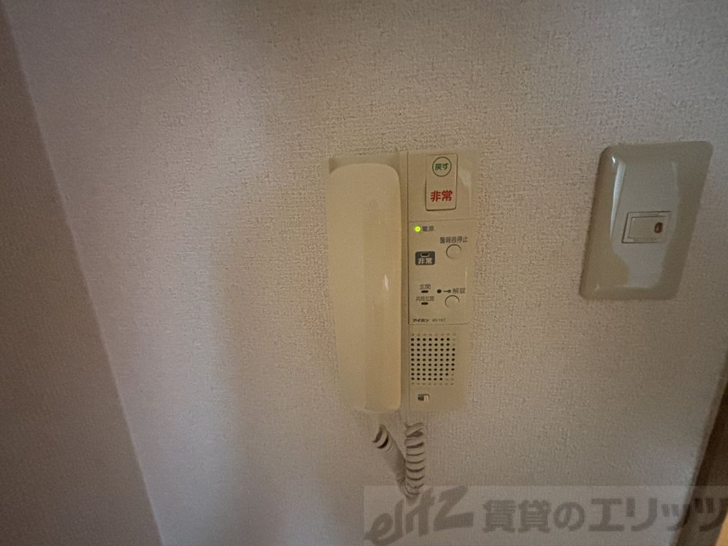 アミスタ菅原のその他写真