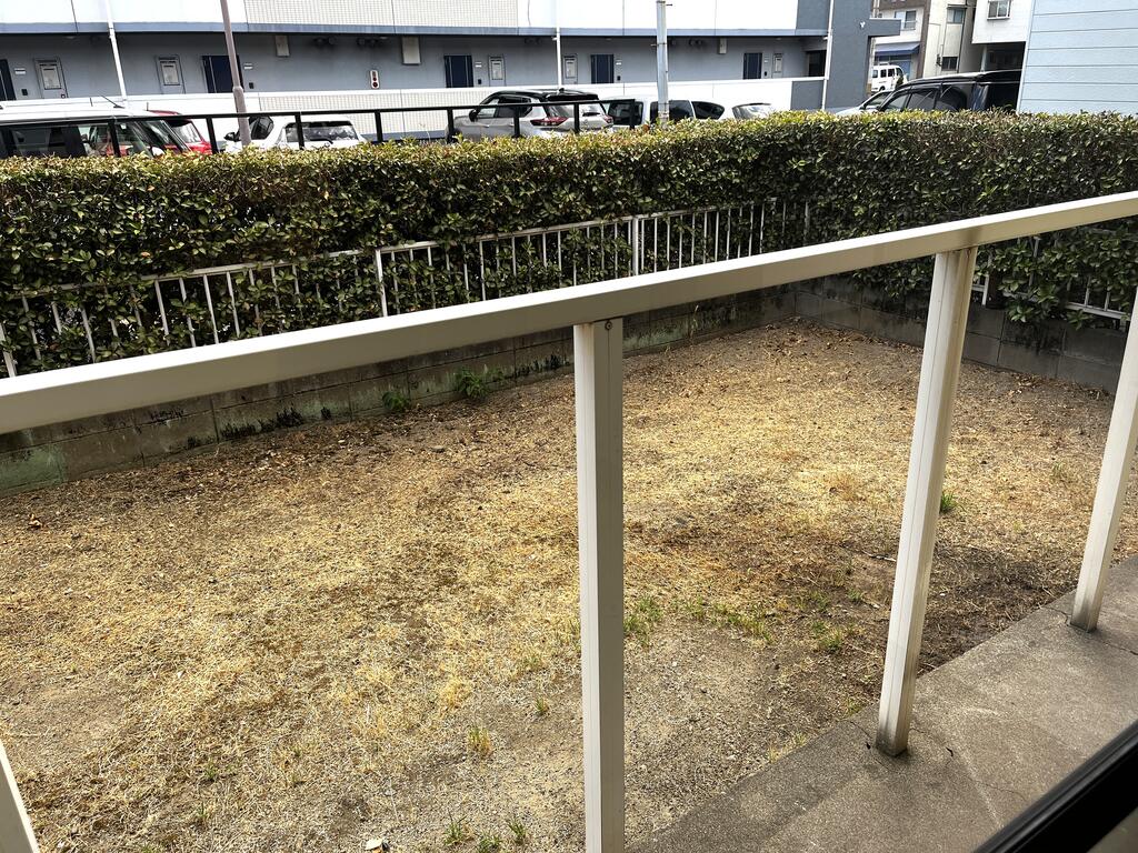 庭