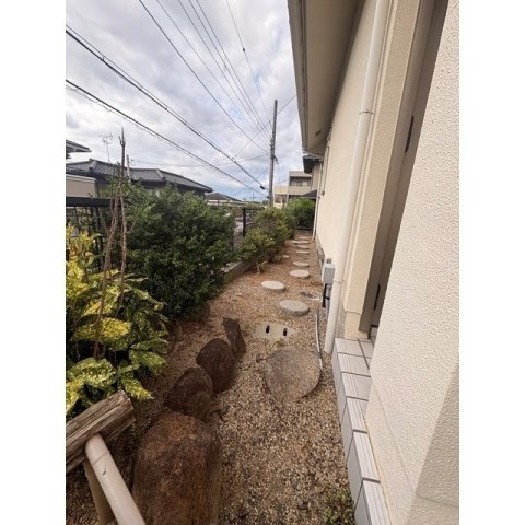 庭