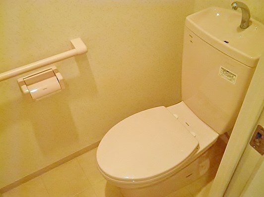 ルミナスビラ石橋のトイレ写真