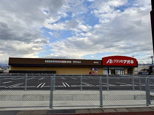ドラックストア　クスリのアオキ 国母店（ドラッグストア）まで762m